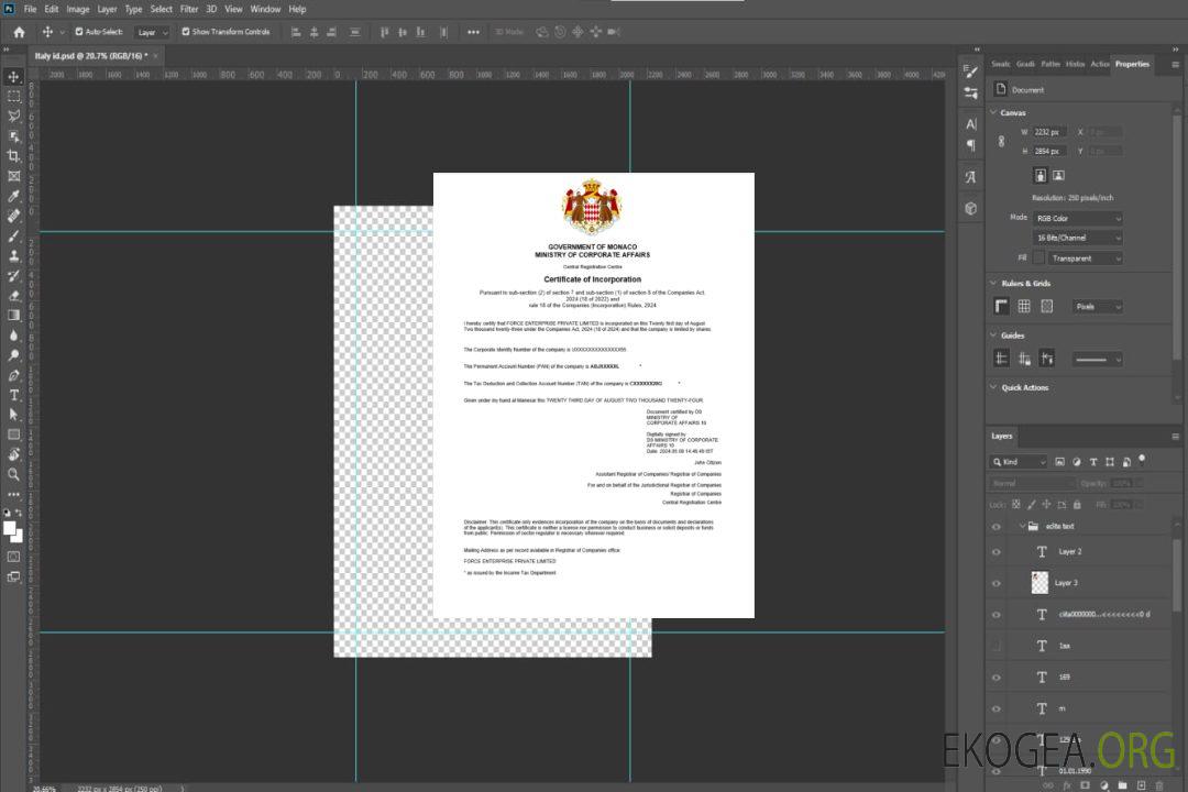 Modèle Word et PDF de certificat d'enregistrement d'entreprise à Monaco template